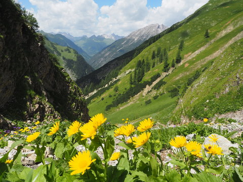 Sommer im Lechtal