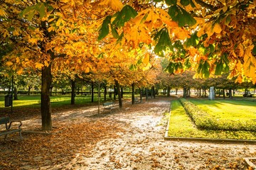 Parque urbano en otoño  con camino de tierra lleno de  hojas  caidas, cesped  y bancos 