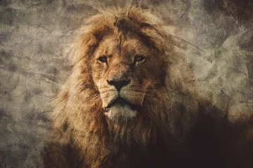 Foto op Aluminium Majestueuze leeuw in een vintage portret. © Photocreo Bednarek