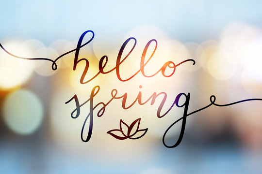 hello spring, vector lettering and flower, spring card with handwritten text