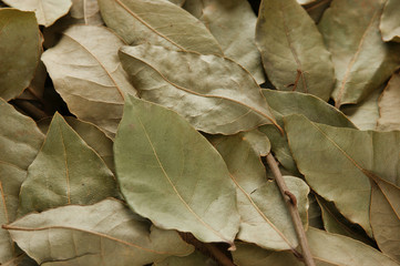 dry bay leaves, background