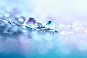 Drop of water on feather on mirror surface macro with sparkling bokeh on blue violet blurred background. Abstract romantic delicate magical artistic image in pastel colors, free space.