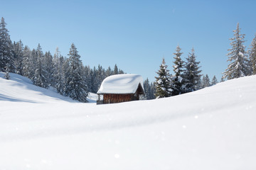 Fototapeta na wymiar Winterwonderland in Austrian Alps