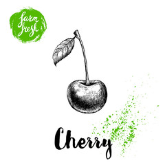 Hand drawn sketch style cherry poster. Single farm fresh berry with leaf. Eco food fruits vector illustration.