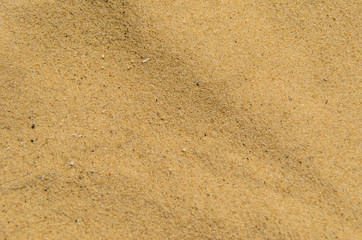 Background of the yellow sand