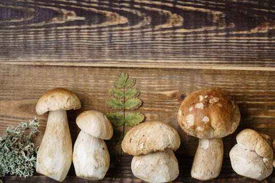 mushroom boletus on the wooden background
