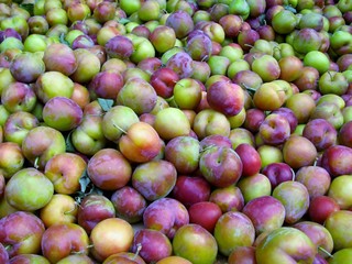 Plums for sale on a fruit market. Okanagan valley, BC, Canada