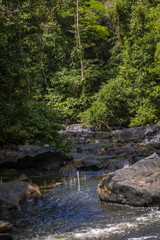 The beautiful nature of Surinam