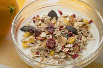 Bowl with Yogurt and organic muesli