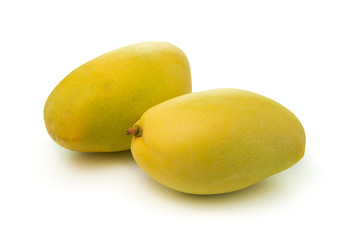 Yellow mangos fruit isolated on white background