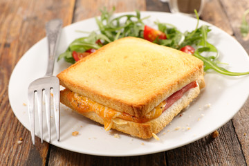 grilled toast with ham and cheddar