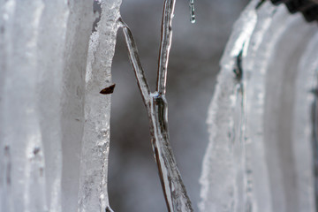 Naklejka na ściany i meble Close-up ice icicles hanging from the roof