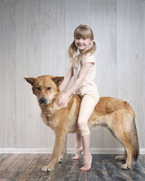 little girl riding a huge dog. The child plays in the traveler