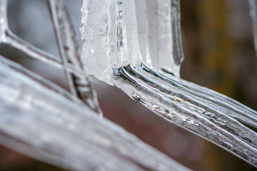 Naklejka na ściany i meble Close-up ice icicles hanging from the roof