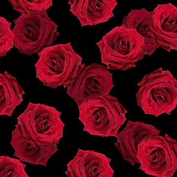 Beautiful floral background of red roses