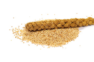 Bird seed pile, with millet stick isolated on white background