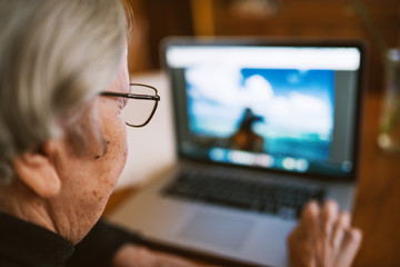 Rear close up view of elderly woman using a laptop and checking photos.