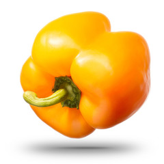 Single sweet yellow bell pepper isolated on white background with clipping path and shiny reflections