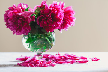 Bouquet of red peonies in vase on white background