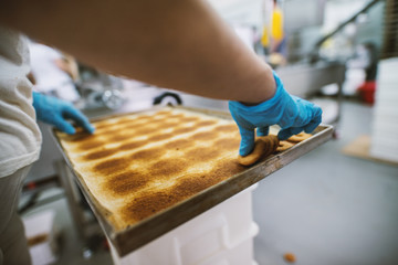 Cookie factory, food industry. Fabrication. Cookie production.