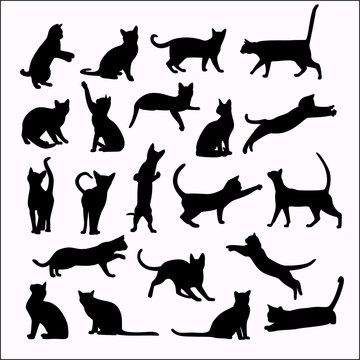 Vector silhouettes of cats on white background