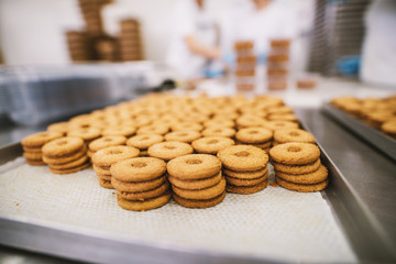 Cookie factory, food industry. Fabrication. Cookie production.