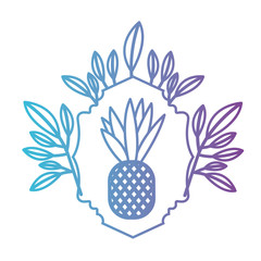 pineapple fresh fruit with leafs frame vector illustration design