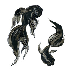 Golden fish in Japanese painting style. Traditional watercolor hand drawn illustration