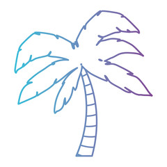 tree palm tropical plant vector illustration design