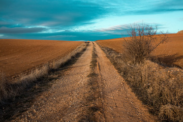 Fototapeta na wymiar Landscape of a dirt road and the sky in the background.