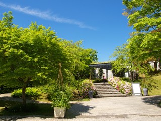 青空の下のツツジに囲まれた石段