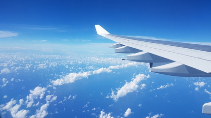 Obraz premium Flight on a clear blue sky