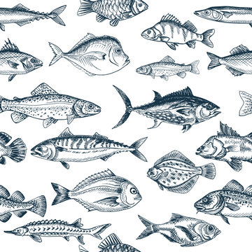 Vintage Fish Pattern Images – Browse 47,061 Stock Photos, Vectors, and  Video | Adobe Stock