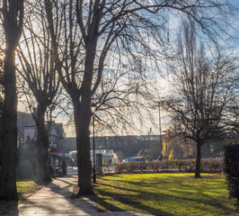 Misty Morning Golden Hour in a London Suburb