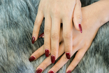 nail paint . beautiful female hand with colorful