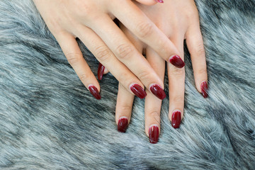 nail paint . beautiful female hand with colorful