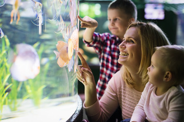 Happy family looking at fish tank at the aquarium