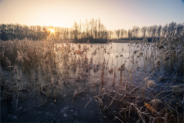 Eiskalter Wintermorgen am See