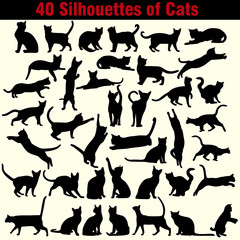 Vector silhouettes of cats on white background 
