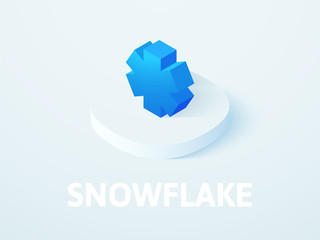Snowflake isometric icon, isolated on color background