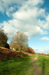 Autumn  in the Malvern hills of England.
