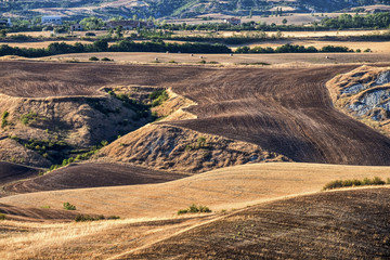 Summer landscape near Asciano