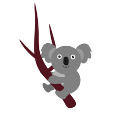 Cute koala bear sitting on