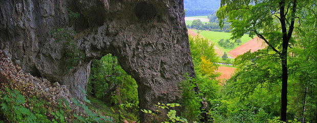 Swabian Jura in summer.