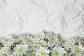 Flowers on white crumpled paper.
