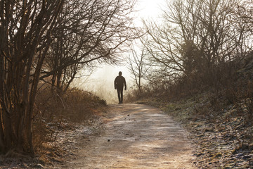 A lonely walk in the morning sun