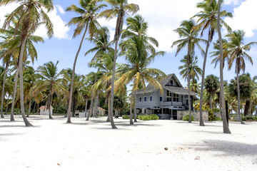 Republic Santo Domingo - Paradisiacal beaches