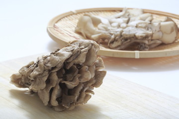 Maitake Image shot