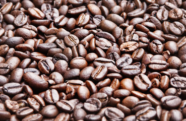 coffee beans