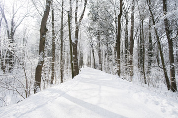 Winterausflug